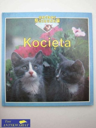 KOCIĘTA