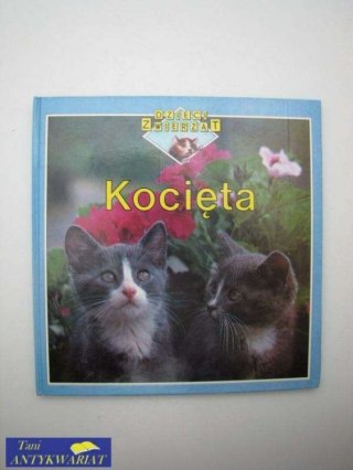 KOCIĘTA