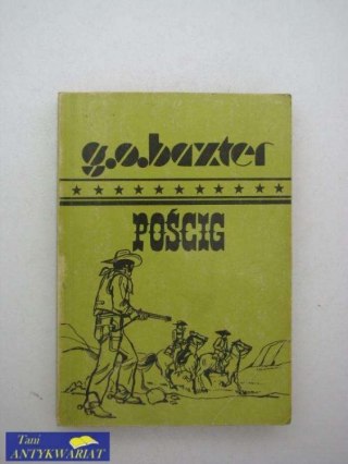 POŚCIG