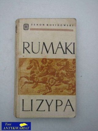 RUMAKI LIZYNA