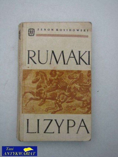RUMAKI LIZYNA