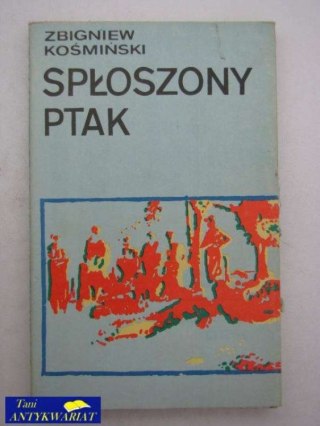 SPŁOSZONY PTAK