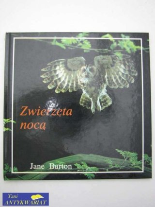 ZWIERZĘTA NOCĄ