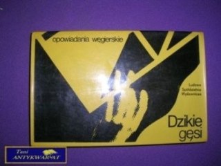 DZIKIE GĘSI