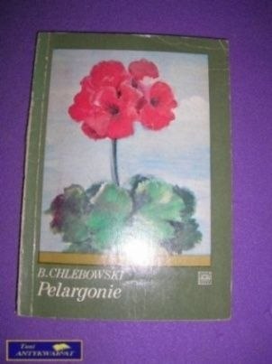 PELARGONIE