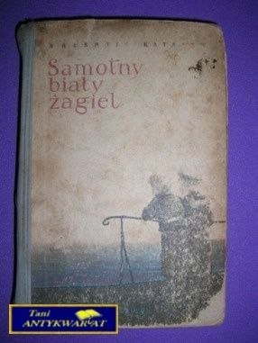 SAMOTNY BIAŁY ŻAGIEL - Walentin Katajew