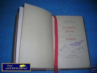 POMIĘDZY PLEWĄ I MANNĄ - J.Zawieyski