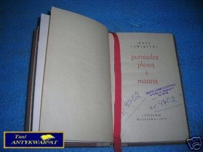 POMIĘDZY PLEWĄ I MANNĄ - J.Zawieyski