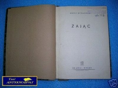 ZAJĄC - A.Dygasiński