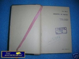 DRZEWO W OGNIU - A. Sillitoe