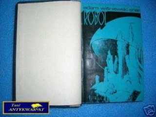 ROBOT - A. Wiśniewski - Sner