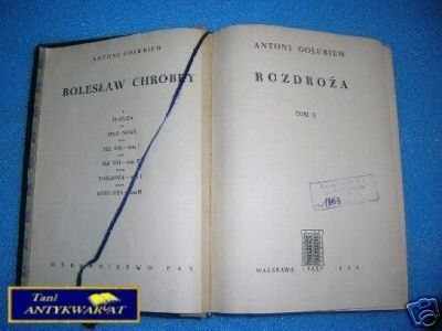 ROZDROŻA T.II - A.Gołubiew