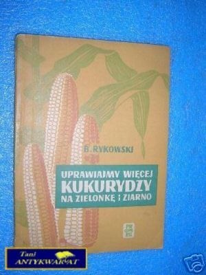 UPRAWIAJMY WIĘCEJ KUKURYDZY NA ZIELONKĘ I ZIARNO