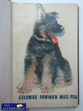 CZŁOWIEK POWIENIENMIEĆ PSA - OPOWIADANIA O PSACH