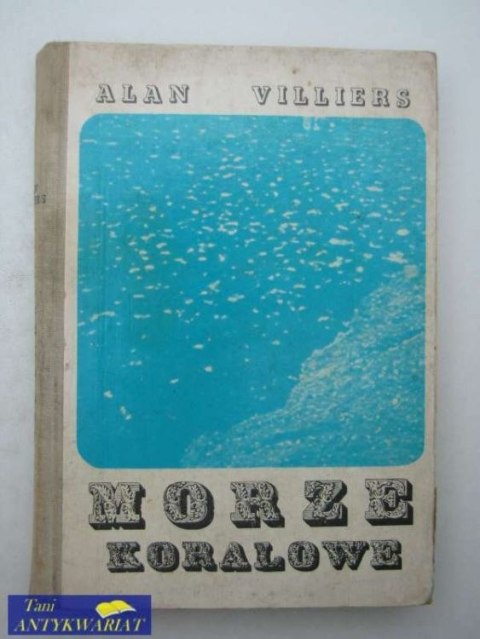 MORZE KORALOWE