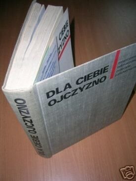 DLA CIEBIE OJCZYZNO - miejscowości odznaczone