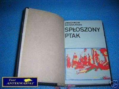 SPŁOSZONY PTAK - Z.Kośmiński