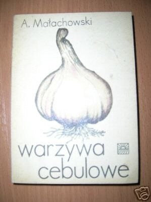 WARZYWA CEBULOWE - A.Małachowski