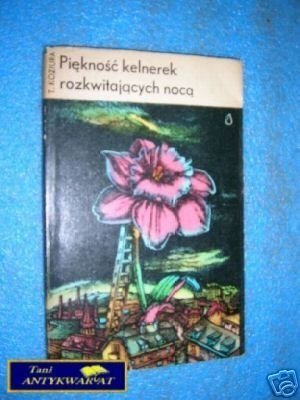 PIĘKNOŚĆ KELNEREK ROZKWITAJĄCYCH NOCĄ - T.Koz