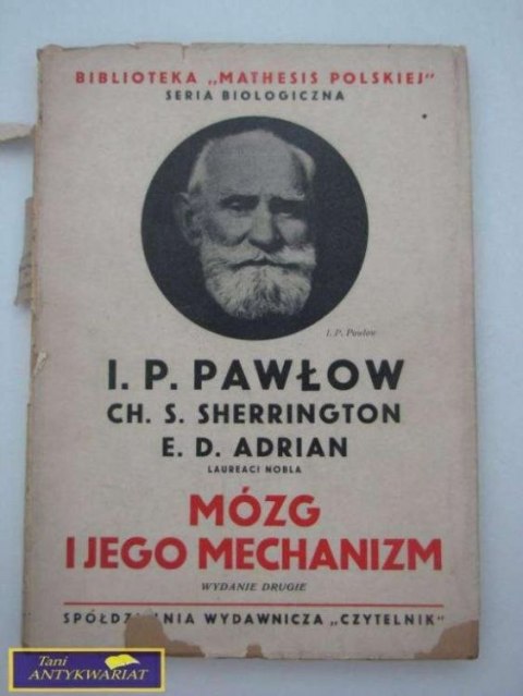 MÓZG I JEGO MECHANIZM