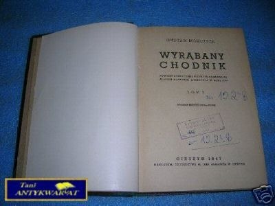 WYRĄBANY CHODNIK T.I - G.Morcinek