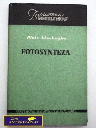 FOTOSYNTEZA Piotr Strebeyko