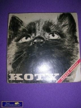 KOTY