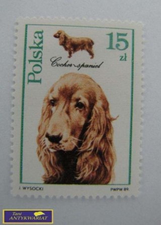 ZNACZEK Cookes-spaniel