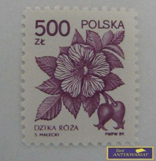 ZNACZEK - Dzika Róża 1989 r.