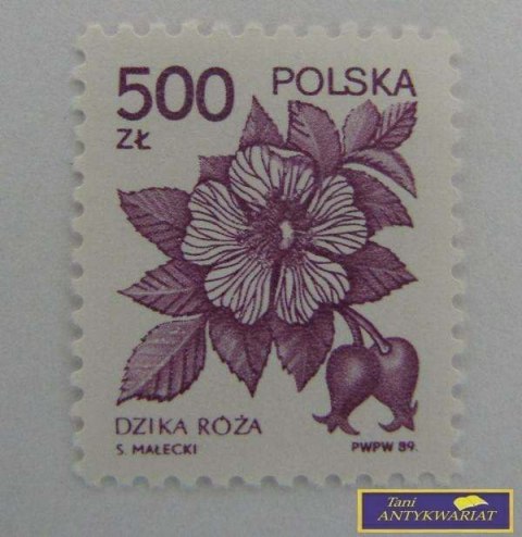 ZNACZEK - Dzika Róża 1989 r.