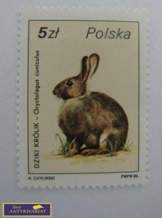 ZNACZEK Dziki królik