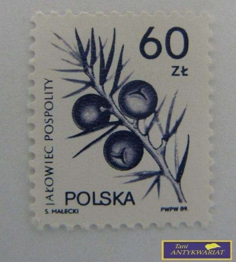 ZNACZEK - Jałowiec Pospolity 89 r.