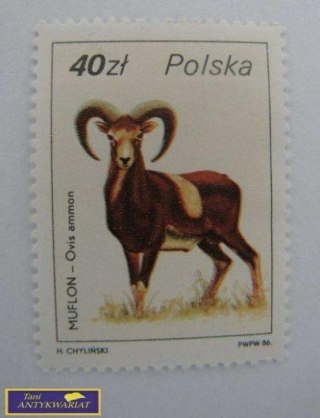 ZNACZEK Muflon