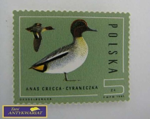 ZNACZEK POCZTOWY ANAS CRECCA- CYRANECZKA