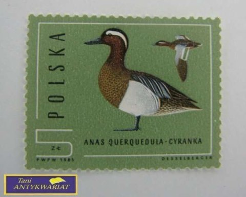 ZNACZEK POCZTOWY ANAS QUERQUEDULA- CYRANKA