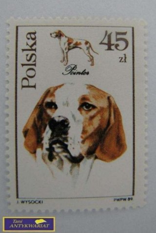 ZNACZEK POCZTOWY POINTER