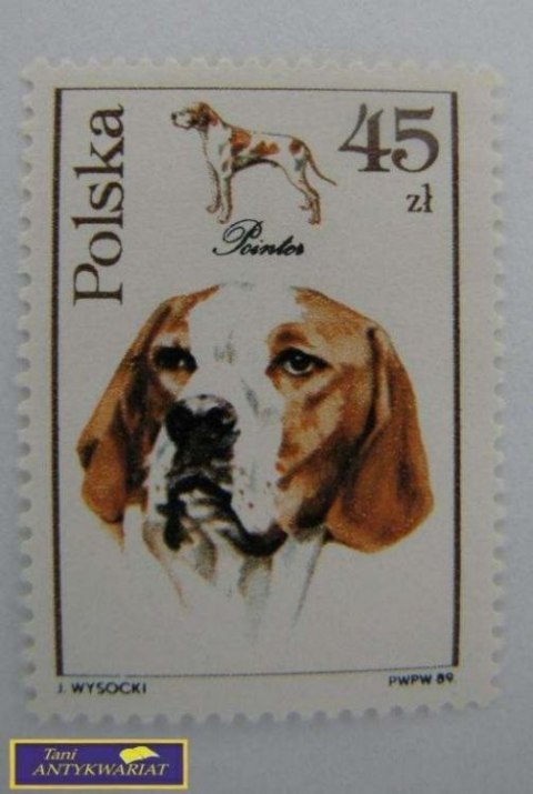 ZNACZEK POCZTOWY POINTER