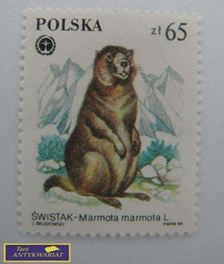 ZNACZEK POCZTOWY ŚWISTAK- MAMROTA MAMROTA L.