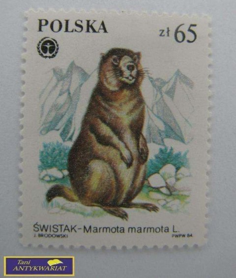ZNACZEK POCZTOWY ŚWISTAK- MAMROTA MAMROTA L.