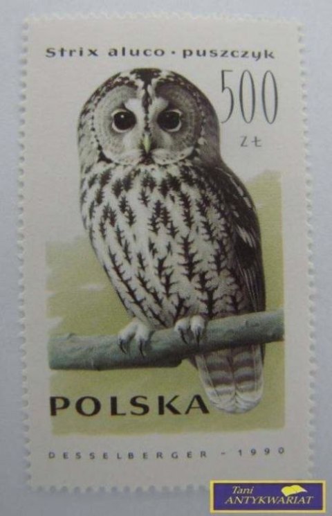 ZNACZEK Puszczyk