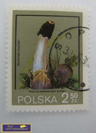 ZNACZEK - SROMOTNIK FIOŁKOWY
