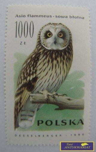 ZNACZEK Sowa błotna