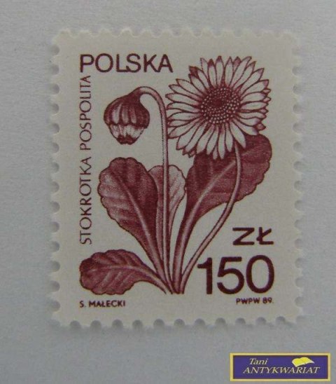 ZNACZEK - Stokrotka Pospolita 89 r.