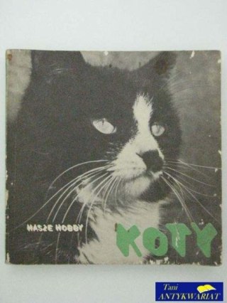 KOTY