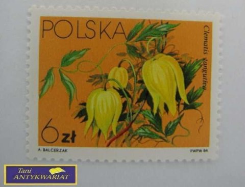 ZNACZEK CLEMATIS TANGUTICA