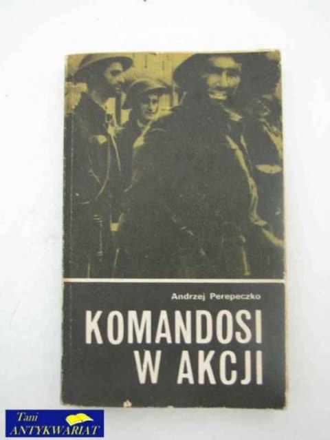 KOMANDOSI W AKCJI