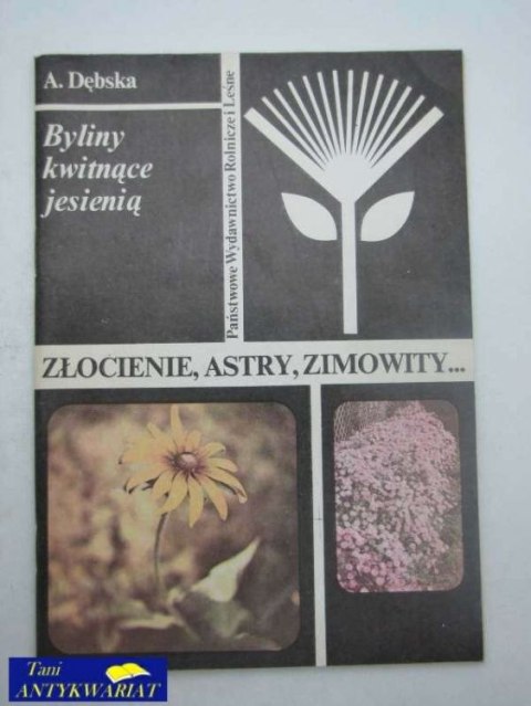 ZŁOCIENIE, ASTRY, ZIMOWITY...