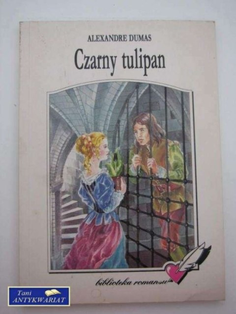 CZARNY TULIPAN