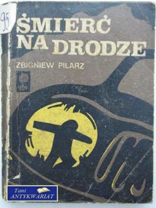 ŚMIERĆ NA DRODZE