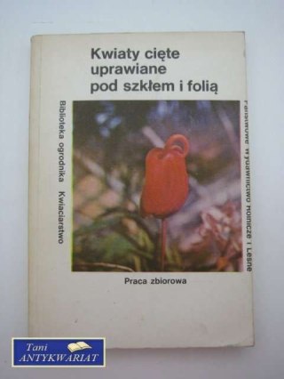 KWIATY CIĘTE UPRAWIANE POD SZKŁEM I FOLIĄ